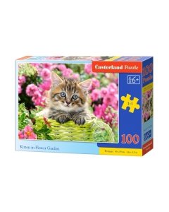 Pusle Kitten in Flower Garden / 100 premium / Castorland / LM