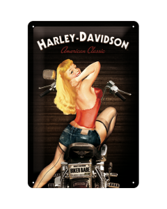 Metallplaat 20x30cm / Harley-Davidson Biker Babe / KO