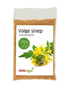 Valge sinepi seemned