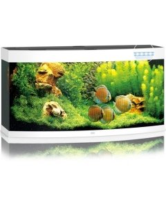 Akvaarium Vision LED 260 L valge