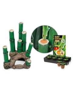 Terraariumi Exo Terra Bamboo Forest Habitat small / 30x30x45cm	