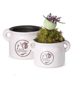 Ürdipott Belle Jardiniere, kõrgusega 11cm / LM