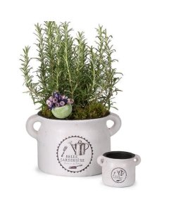 Ürdipott Belle Jardiniere, kõrgusega 15,5cm / LM