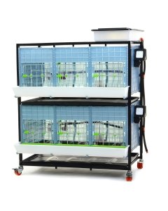 Bruuder Comfortplast noorlindudele / kõrgus 40cm / 2 korrust