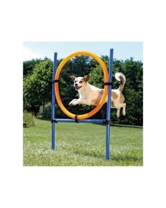 DogActivity Agility Ring, plastik, 115x ø 3cm, ø 65cm sinine / oranž