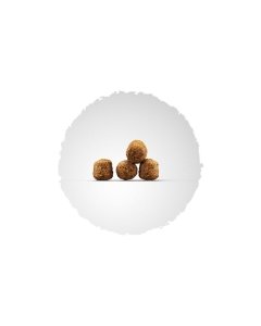 Josera Family Plus koeratoit tiinetele ja imetavatele koertele / 15kg