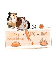 Täissööt PUUR Guinea Pig 700g merisigadele