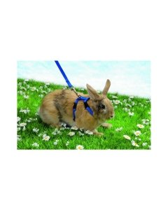 Beeztees jänese traksid Nylon