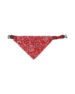 FLAMINGO kassi kaelarihm + bandana Pinto / 25-40cm 15mm