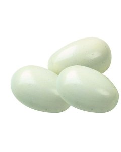 Kanapesa tehismuna kummist 65g / 1tk / valge