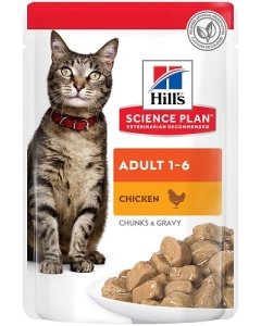 Hill´s Science Plan kassi einekotike kanalihaga / 85g