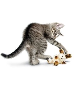 Kassi mänguasi Kong Fuzzy jänku tekstiilist / 15cm