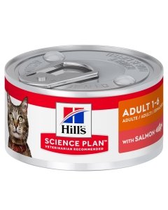 Hill's Science Plan kassikonserv lõhega / 82g