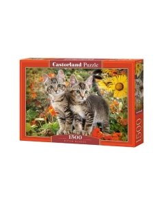 Pusle Castorland Kitten Buddies 68x47cm / 1500tk / LM