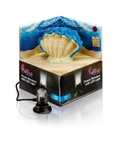 Kaunistus H2shOw Blue Clam