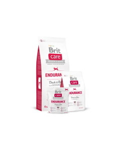 Brit Care aktiivsele koerale pardiliha&riisiga / 12kg