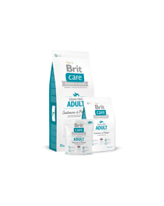 Brit Care täiskasvanud koerale Lõhe&Kartuliga / 1kg
