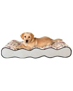 Koeravoodi Carta  cushion hall/beez / 75x45cm