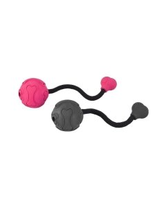 Best Friend koera mänguasi kummist pall sabaga Fyball