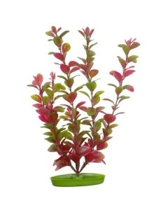 Plastist taim Marina AquaScaper 30cm - punane Ludwigia