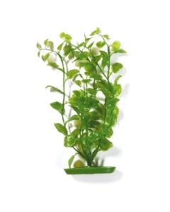Plastist taim Marina AquaScaper 30cm - Cardamine