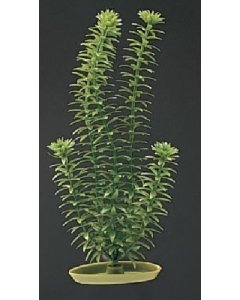 Plastist taim Marina AquaScaper 12,5cm Anacharis