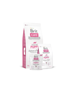 Brit Care kutsikatoit Lõhe&Kartuliga  / 1kg 