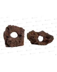 Auguga laavakivi / 10-15cm 