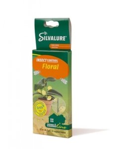 Putukate liimpüünis Floral Silva potitaimedele 12tk/pakis
