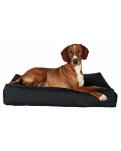 Koera magamiskoht Cleo cushion 