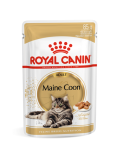 Royal Canin FBN Maine Coon Adult Wet Gravy õhukesed viilud kastmes / 85g
