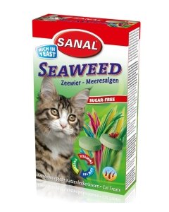 Maius kassidele Sanal merevetikatega / 50g
