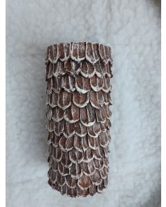 Küünal Mänd / K15cm /LM