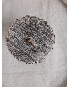 Küünal Mänd / K15cm /LM