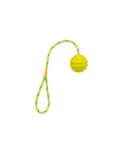 Koera mänguasi Wavy Ball On A Rope 30cm / Ø6cm