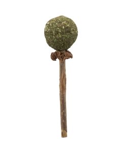 Kassi mänguasi Matatabi lolly, 11cm