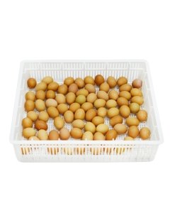 Munade hoidmise kasrt CS80Y