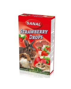 Sanal maasikatropsid närilistele / 45g