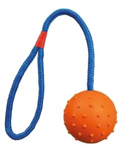 Koera mängunöör palliga 30cm / Ø6cm /K