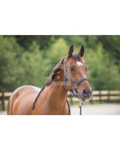 Horze Cooper hobuse päitsed + nöör, X-FULL / tumesinine
