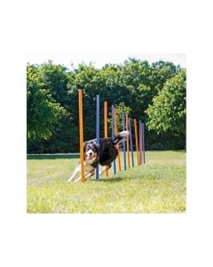 Plastikust Dog Activity Agility slaalom ø3cmx115cm / sinine-oranž