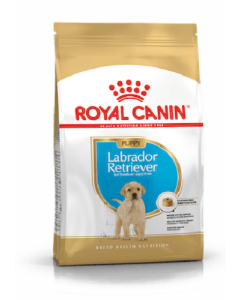 Royal Canin BHN LABRADOR RETRIEVER PUPPY koeratoit 12 kg