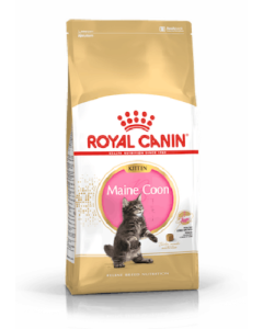 Royal Canin FBN MAINE COON KITTEN 400g