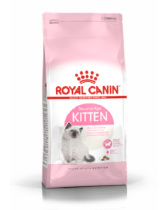Royal Canin FHN Kitten kassitoit 10kg