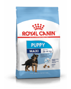 Royal Canin SHN Maxi Puppy koeratoit 12 kg