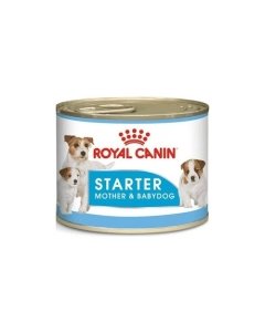 Royal Canin Starter Mousse konserv koertele / 195g
