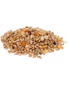 Seemnesegu lindudele / 1kg