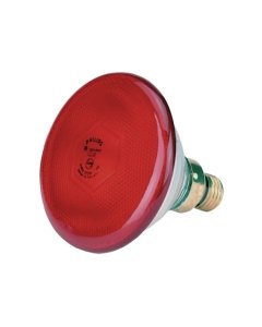 Soojenduslamp Philips Economy punane 175W