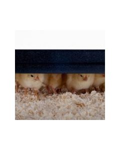 Reguleeritava kõrgusega soojendusplaat 13W / 220-240V / 25x25cm