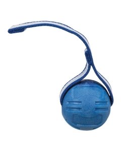 Mänguasi koertele Spordipall, TPR, ø 6 cm